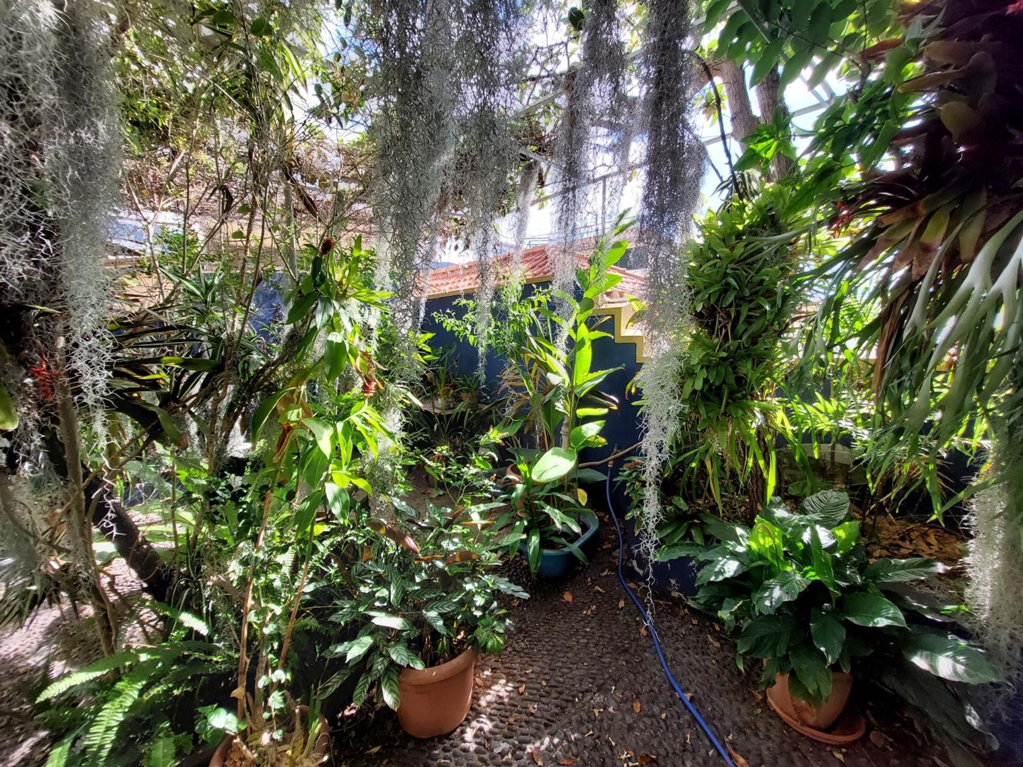 Casa Pico Musica Apartment Funchal  Exterior photo